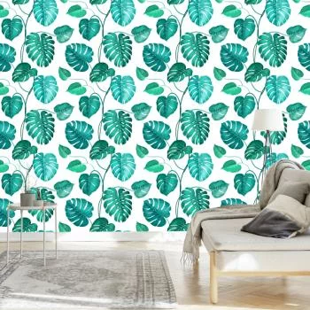 Tapeta Liście Monstera Natura