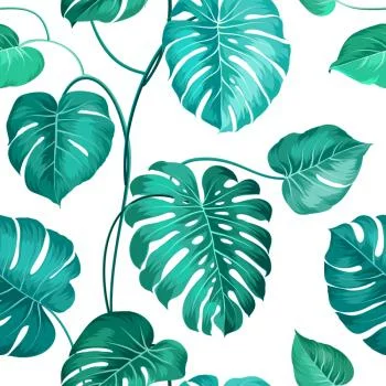 Tapeta Liście Monstera Natura - obrazek 2
