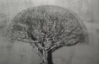 Fototapeta 3D - cień drzewa