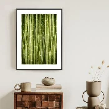 Plakat w ramie - płot z bambusa