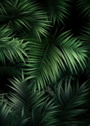 Plakat w ramie - ciemne liście bambusowe - obrazek 2