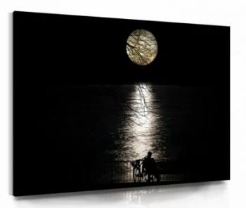 Obraz na płótnie - księżycowa noc