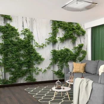 Fototapeta - roślinki na ścianie